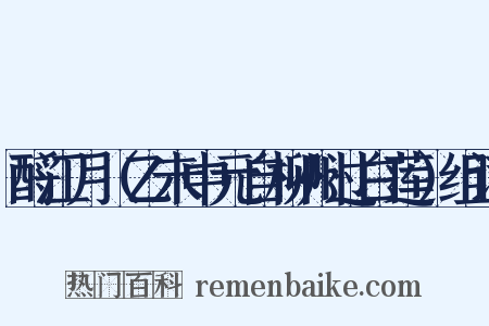酹江月（乙未中元自柳州过白莲）组词是什么意思的图片